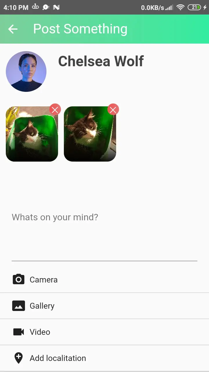 petfinder-1