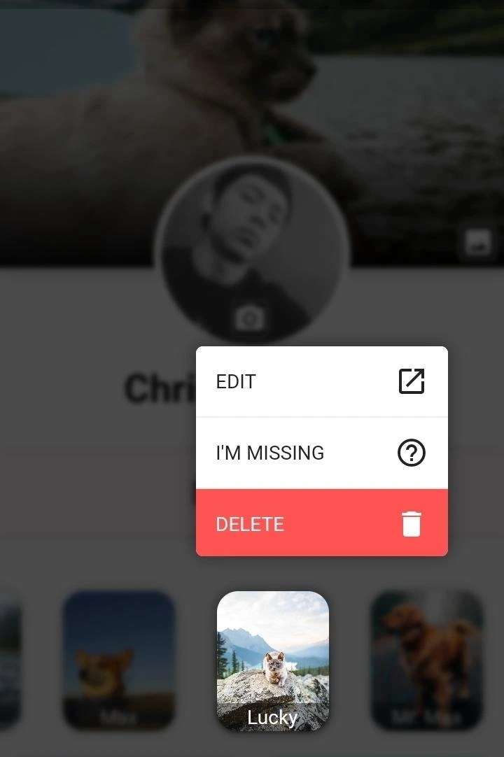petfinder-6